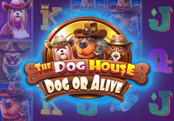 NetEnt - игровой автомат онлайн от Various с RTP 97.45%